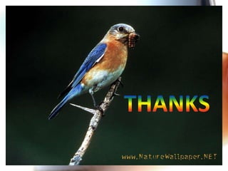 Autoimmunity dwd lect