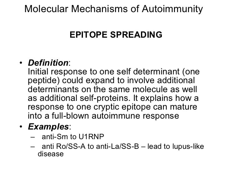 Autoimmunity engl