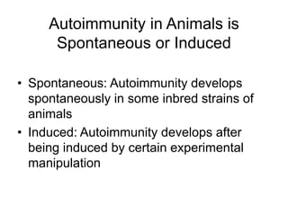 Autoimmunity in Animals is
Spontaneous or Induced
• Spontaneous: Autoimmunity develops
spontaneously in some inbred strains of
animals
• Induced: Autoimmunity develops after
being induced by certain experimental
manipulation
 