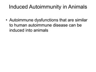 Induced Autoimmunity in Animals
• Autoimmune dysfunctions that are similar
to human autoimmune disease can be
induced into animals
 