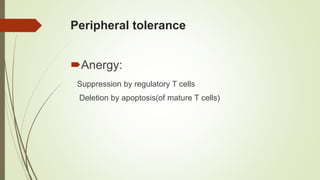 Peripheral tolerance
Anergy:
Suppression by regulatory T cells
Deletion by apoptosis(of mature T cells)
 