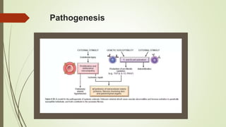 Pathogenesis Ppt AUTOIMMUNITY PPT.pptx pathogenesis, tolerance | PPTX
