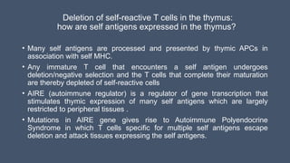 Deletion of self-reactive T cells in the thymus:
how are self antigens expressed in the thymus?
• Many self antigens are processed and presented by thymic APCs in
association with self MHC.
• Any immature T cell that encounters a self antigen undergoes
deletion/negative selection and the T cells that complete their maturation
are thereby depleted of self-reactive cells
• AIRE (autoimmune regulator) is a regulator of gene transcription that
stimulates thymic expression of many self antigens which are largely
restricted to peripheral tissues .
• Mutations in AIRE gene gives rise to Autoimmune Polyendocrine
Syndrome in which T cells specific for multiple self antigens escape
deletion and attack tissues expressing the self antigens.
 