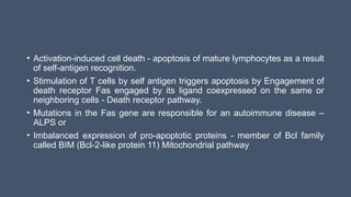 • Activation-induced cell death - apoptosis of mature lymphocytes as a result
of self-antigen recognition.
• Stimulation of T cells by self antigen triggers apoptosis by Engagement of
death receptor Fas engaged by its ligand coexpressed on the same or
neighboring cells - Death receptor pathway.
• Mutations in the Fas gene are responsible for an autoimmune disease –
ALPS or
• Imbalanced expression of pro-apoptotic proteins - member of Bcl family
called BIM (Bcl-2-like protein 11) Mitochondrial pathway
 