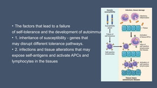 • The factors that lead to a failure
of self-tolerance and the development of autoimmunity include :
• 1. inheritance of susceptibility - genes that
may disrupt different tolerance pathways.
• 2. infections and tissue alterations that may
expose self-antigens and activate APCs and
lymphocytes in the tissues
 
