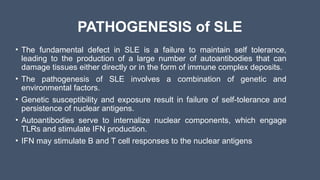 PATHOGENESIS of SLE
• The fundamental defect in SLE is a failure to maintain self tolerance,
leading to the production of a large number of autoantibodies that can
damage tissues either directly or in the form of immune complex deposits.
• The pathogenesis of SLE involves a combination of genetic and
environmental factors.
• Genetic susceptibility and exposure result in failure of self-tolerance and
persistence of nuclear antigens.
• Autoantibodies serve to internalize nuclear components, which engage
TLRs and stimulate IFN production.
• IFN may stimulate B and T cell responses to the nuclear antigens
 