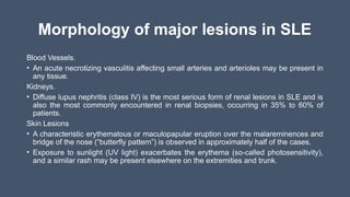 Morphology of major lesions in SLE
Blood Vessels.
• An acute necrotizing vasculitis affecting small arteries and arterioles may be present in
any tissue.
Kidneys.
• Diffuse lupus nephritis (class IV) is the most serious form of renal lesions in SLE and is
also the most commonly encountered in renal biopsies, occurring in 35% to 60% of
patients.
Skin Lesions
• A characteristic erythematous or maculopapular eruption over the malareminences and
bridge of the nose (“butterfly pattern”) is observed in approximately half of the cases.
• Exposure to sunlight (UV light) exacerbates the erythema (so-called photosensitivity),
and a similar rash may be present elsewhere on the extremities and trunk.
 