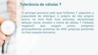 Tolerância de células T
O principal processo pelo qual linfócitos T adquirem a
capacidade de distinguir o próprio do não próprio
ocorre no timo fetal. Esse processo, denominado
deleção clonal, envolve a morte de células T (“seleção
negativa”) que reagem contra antígenos
(principalmente proteínas do MHC próprias) presentes
no feto naquele momento.
 