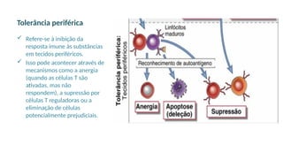 Tolerância periférica
 Refere-se à inibição da
resposta imune às substâncias
em tecidos periféricos.
 Isso pode acontecer através de
mecanismos como a anergia
(quando as células T são
ativadas, mas não
respondem), a supressão por
células T reguladoras ou a
eliminação de células
potencialmente prejudiciais.
 