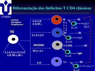 Diferenciação dos linfócitos T CD4 clássicos
UNIRIO
          Cortisol                                                          TH1                 RIC
          Estrogênio              IL-12, IL-18
          Progesterona            IL-15, INF-                                                            IgG1
                                                                                       B cell             IgG3

        TH0                                                                 TH2                 RIH
                                 IL-4, IL-5, IL-6
                                                                                                 IgE
                                                                                  B cell
                                   MUCOSA                                   Tr-3 (TH3)                    RIS

                                  TGF- + IL-2
  IL-2, IL-3, IL-4, IL-5, IL-6                                                                  IgA
     IL-10, TNF-, INF-                                                      B cell

                                        IL-10                               Tr-1                    RIR

             2001/2002                           Prof. Doutor José Cabeda                             Imunologia e 4
                                                                                                           IgG2

                                                                                           B cell
 