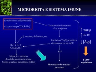 MICROBIOTA E SISTEMA IMUNE

 Lactobacilos e bifidobactérias
              +
 receptores (tipo TOLL-like)                        Translocação bacteriana
                                                        e/ou antígenos
                                                                                       TGF-
                                                                                       IL-10
                      ↑ mucinas, defensinas, etc.
                                                      Linfócitos T () primitivos
                                                      diretamente ou via APC          [Ags]
        IL-1 e IL-8
        CCL20, IL-7
                                                             SCF
      Migração e ativação
  de células do sistema imune                                                          T CD4+
Como as células dendrídicas (CDs)                                                    reguladoras
                                                  Maturação da mucosa
          2001/2002                                        intestinal
                                            Prof. Doutor José Cabeda                  Imunologia
 