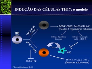 INDUÇÃO DAS CÉLULAS TH17: o modelo



                                                     TCD4+ CD25+ FoxP3 CTLA-4+
                                                     (Células T reguladoras naturais)
   TH0
                                            Inibição dependente         Inibição via secreção
                                                 de contato               de IL-10/TGF-



                                            IL-23

                                                                  APC


                                                               Th17 (IL-17, IL-22, IL-1, TNF-)
                  Th1 e Th2
                                                              (Doenças auto-imunes)
2001/2002                      Prof. Doutor José Cabeda                          Imunologia
 * Potencializada pela IL-1
 