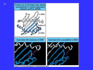 21


     Figure 13-23




     2001/2002   Prof. Doutor José Cabeda   Imunologia
 