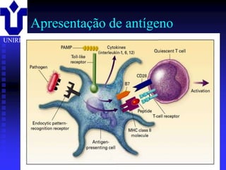 Apresentação de antígeno
UNIRIO




         2001/2002   Prof. Doutor José Cabeda   Imunologia
 
