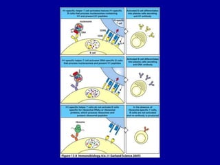Figure 13-8




2001/2002     Prof. Doutor José Cabeda   Imunologia
 