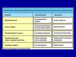 Figure 13-4




2001/2002     Prof. Doutor José Cabeda   Imunologia
 