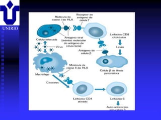 UNIRIO




         2001/2002   Prof. Doutor José Cabeda   Imunologia
 