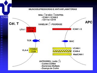 UNIRIO




         2001/2002   Prof. Doutor José Cabeda   Imunologia
 