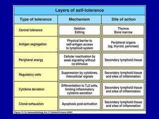Figure 13-16




2001/2002   Prof. Doutor José Cabeda   Imunologia
 
