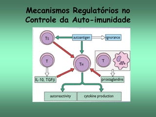 Mecanismos Regulatórios no
Controle da Auto-imunidade

 