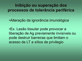 Inibição ou superação dos
processos de tolerância periférica
•Alteração da ignorância imunológica
•Ex. Lesão tissular pode provocar a
liberação de Ag previamente invisíveis ou
pode destruir barreiras que limitam o
acesso de LT a sítios de privilegio

 
