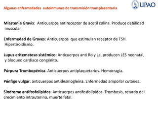 Algunas enfermedades autoinmunes de transmisión transplacentaria
Miastenia Gravis: Anticuerpos antireceptor de acetil colina. Produce debilidad
muscular
Enfermedad de Graves: Anticuerpos que estimulan receptor de TSH.
Hipertiroidismo.
Lupus eritematoso sistémico: Anticuerpos anti Ro y La, producen LES neonatal,
y bloqueo cardíaco congénito.
Púrpura Trombopénica. Anticuerpos antiplaquetarios. Hemorragia.
Pénfigo vulgar: anticuerpos antidesmogleína. Enfermedad ampollar cutánea.
Síndrome antifosfolípidos: Anticuerpos antifosfolípidos. Trombosis, retardo del
crecimiento intrauterino, muerte fetal.
 