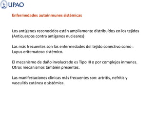 Enfermedades autoinmunes sistémicas
Los antígenos reconocidos están ampliamente distribuídos en los tejidos
(Anticuerpos contra antígenos nucleares)
Las más frecuentes son las enfermedades del tejido conectivo como :
Lupus eritematoso sistémico.
El mecanismo de daño involucrado es Tipo III o por complejos inmunes.
Otros mecanismos también presentes.
Las manifestaciones clínicas más frecuentes son: artritis, nefritis y
vasculitis cutánea o sistémica.
 