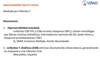 Hipersensibilidad Tipo IV o Celular
Mediada por linfocitos T
Mecanismos
1.- Hipersensibilidad retardada
Linfocitos CD4 TH1 y CD8 secretan citoquinas (INFg), activan macrófagos
que liberan enzimas hidrolíticas, intermediarios reactivos del O2, óxido nítrico y
citoquinas proinflamatorias (TNF)
Ej. DMID, Esclerosis Múltiple, Artritis Reumatoide.
2.- Linfocitos T citolíticos (CD8) eliminan directamente células blanco, generalmente
en respuesta a una infección viral.
Miocarditis, hepatitis
 