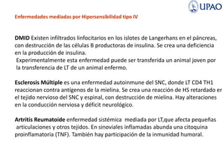 Enfermedades mediadas por Hipersensibilidad tipo IV
DMID Existen infiltrados linfocitarios en los islotes de Langerhans en el páncreas,
con destrucción de las células B productoras de insulina. Se crea una deficiencia
en la producción de insulina.
Experimentalmente esta enfermedad puede ser transferida un animal joven por
la transferencia de LT de un animal enfermo.
Esclerosis Múltiple es una enfermedad autoinmune del SNC, donde LT CD4 TH1
reaccionan contra antígenos de la mielina. Se crea una reacción de HS retardado en
el tejido nervioso del SNC y espinal, con destrucción de mielina. Hay alteraciones
en la conducción nerviosa y déficit neurológico.
Artritis Reumatoide enfermedad sistémica mediada por LT,que afecta pequeñas
articulaciones y otros tejidos. En sinoviales inflamadas abunda una citoquina
proinflamatoria (TNF). También hay participación de la inmunidad humoral.
 