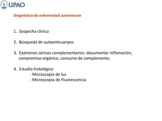 Diagnóstico de enfermedad autoinmune
1. Sospecha clínica
2. Búsqueda de autoanticuerpos
3. Exámenes séricos complementarios: documentar inflamación,
compromiso orgánico, consumo de complemento.
4. Estudio histológico
- Microscopia de luz
- Microscopia de Fluorescencia
 