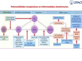 Potencialidades terapéuticas en Enfermedades Autoinmunes
 