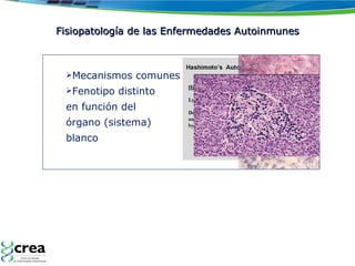 Fisiopatología de las Enfermedades Autoinmunes Mecanismos comunes Fenotipo distinto en función del  órgano (sistema)  blanco 