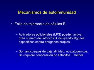 Mecanismos de autoinmunidad

• Falla de tolerancia de células B

  – Activadores policlonales (LPS) pueden activar
    gran número de linfocitos B incluyendo algunos
    específicos contra antígenos propios.


  – Son anticuerpos de baja afinidad, no patogénicos.
    Se requiere cooperación de linfocitos T Helper.
 