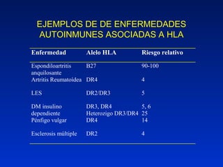 EJEMPLOS DE DE ENFERMEDADES
  AUTOINMUNES ASOCIADAS A HLA
Enfermedad            Alelo HLA          Riesgo relativo

Espondiloartritis    B27                 90-100
anquilosante
Artritis Reumatoídea DR4                 4

LES                   DR2/DR3            5

DM insulino           DR3, DR4           5, 6
dependiente           Heterozigo DR3/DR4 25
Pénfigo vulgar        DR4                14

Esclerosis múltiple   DR2                4
 