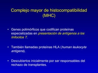 Complejo mayor de histocompatibilidad
                (MHC)


• Genes polimórficos que codifican proteínas
  especializadas en presentación de antígenos a los
  linfocitos T.

• También llamadas proteínas HLA (human leukocyte
  antigens).

• Descubiertos inicialmente por ser responsables del
  rechazo de transplantes.
 