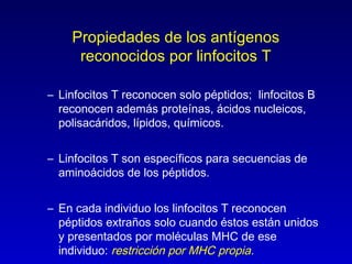 Propiedades de los antígenos
     reconocidos por linfocitos T

– Linfocitos T reconocen solo péptidos; linfocitos B
  reconocen además proteínas, ácidos nucleicos,
  polisacáridos, lípidos, químicos.


– Linfocitos T son específicos para secuencias de
  aminoácidos de los péptidos.


– En cada individuo los linfocitos T reconocen
  péptidos extraños solo cuando éstos están unidos
  y presentados por moléculas MHC de ese
  individuo: restricción por MHC propia.
 