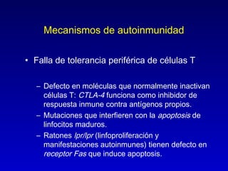 Mecanismos de autoinmunidad

• Falla de tolerancia periférica de células T

   – Defecto en moléculas que normalmente inactivan
     células T: CTLA-4 funciona como inhibidor de
     respuesta inmune contra antígenos propios.
   – Mutaciones que interfieren con la apoptosis de
     linfocitos maduros.
   – Ratones lpr/lpr (linfoproliferación y
     manifestaciones autoinmunes) tienen defecto en
     receptor Fas que induce apoptosis.
 