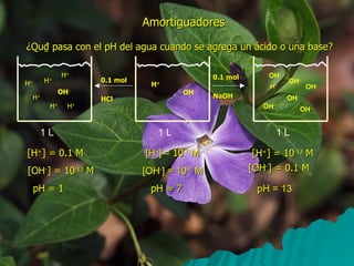 Amortiguadores ¿Qu₫ pasa con el pH del agua cuando se agrega un ácido o una base? 0.1 mol HCl 0.1 mol NaOH [H + ] = 0.1 M [OH - ] = 10 -13  M pH = 1 [H + ] =  10 -7  M [OH - ] = 10 -7  M pH = 7 [H + ] = 10 -13  M [OH - ] = 0.1 M pH = 13 H + OH - H + H + H + H + H + 1 L 1 L H + OH - OH - H + OH - OH - OH - OH - OH - 1 L 