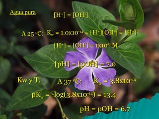 Agua   pura [H + ] = [OH - ] A 25  o C: K w  = 1.0x10 -14  = [H + ][OH - ] = [H + ] 2 [H + ] = [OH - ] = 1x10 -7  M [pH] = [pOH] = 7.0 A 37  o C: K w  = 3.8x10 -14 pK w  = -log(3.8x10 -14 ) = 13.4 pH = pOH = 6.7 Kw y T. 