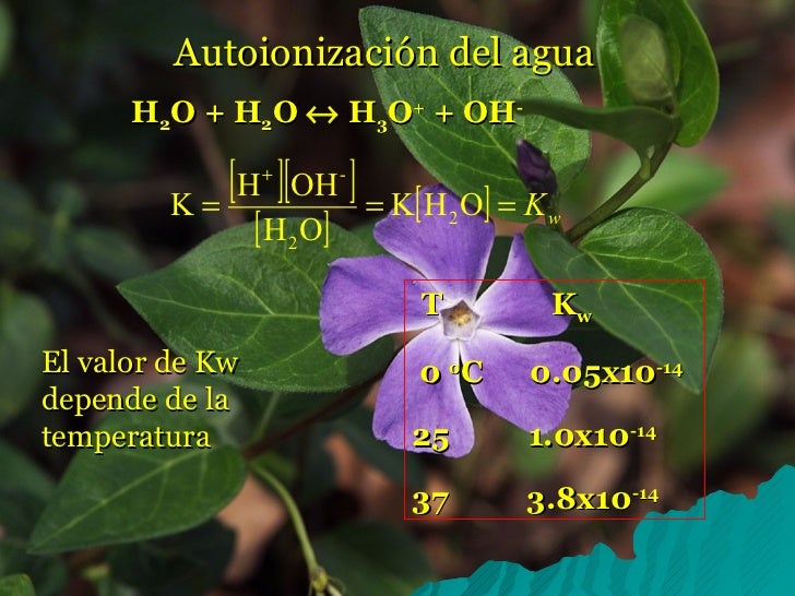 autoionizacion del agua