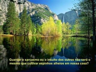 Guardar o sarcasmo ou o insulto dos outros não será o mesmo que cultivar espinhos alheios em nossa casa? Guardar o sarcasmo ou o insulto dos outros não será o mesmo que cultivar espinhos alheios em nossa casa? 