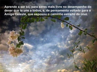 Aprende a ser só, para seres mais Iivre no desempenho do dever que te une a todos, e, de pensamento voltado para o Amigo Celeste, que esposou o caminho estreito da cruz. Aprende a ser só, para seres mais Iivre no desempenho do dever que te une a todos, e, de pensamento voltado para o Amigo Celeste, que esposou o caminho estreito da cruz. 