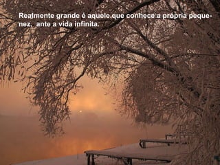 Realmente grande é aquele que conhece a própria peque- nez,  ante a vida infinita. Realmente grande é aquele que conhece a própria peque- nez,  ante a vida infinita. 