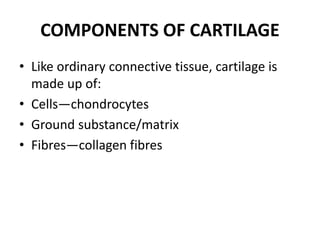 COMPONENTS OF CARTILAGE
• Like ordinary connective tissue, cartilage is
made up of:
• Cells—chondrocytes
• Ground substance/matrix
• Fibres—collagen fibres
 