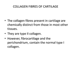 COLLAGEN FIBRES OF CARTILAGE
• The collagen fibres present in cartilage are
chemically distinct from those in most other
tissues.
• They are type II collagen.
• However, fibrocartilage and the
perichondrium, contain the normal type I
collagen.
 