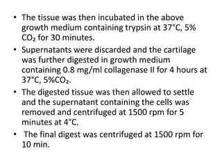 • The tissue was then incubated in the above
growth medium containing trypsin at 37°C, 5%
CO₂ for 30 minutes.
• Supernatants were discarded and the cartilage
was further digested in growth medium
containing 0.8 mg/ml collagenase II for 4 hours at
37°C, 5%CO₂.
• The digested tissue was then allowed to settle
and the supernatant containing the cells was
removed and centrifuged at 1500 rpm for 5
minutes at 4°C.
• The final digest was centrifuged at 1500 rpm for
10 min.
 