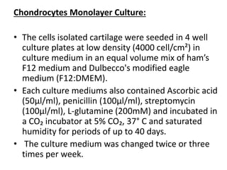 Chondrocytes Monolayer Culture:
• The cells isolated cartilage were seeded in 4 well
culture plates at low density (4000 cell/cm²) in
culture medium in an equal volume mix of ham’s
F12 medium and Dulbecco's modified eagle
medium (F12:DMEM).
• Each culture mediums also contained Ascorbic acid
(50µl/ml), penicillin (100µl/ml), streptomycin
(100µl/ml), L-glutamine (200mM) and incubated in
a CO₂ incubator at 5% CO₂, 37° C and saturated
humidity for periods of up to 40 days.
• The culture medium was changed twice or three
times per week.
 