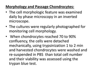 Morphology and Passage Chondrocytes:
• The cell morphologic feature was examined
daily by phase microscopy in an inverted
microscope.
• The cultures were regularly photographed for
monitoring cell morphology.
• When chondrocytes reached 70 to 90%
confluency, the cells were detached
mechanically, using trypsinization 1 to 2 min
and harvested chondrocytes were washed and
re-suspended in PBS than total cell number
and their viability was assessed using the
trypan blue test.
 