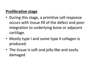 Proliferative stage
• During this stage, a primitive cell response
occurs with tissue fill of the defect and poor
integration to underlying bone or adjacent
cartilage.
• Mostly type I and some type II collagen is
produced.
• The tissue is soft and jelly-like and easily
damaged
 