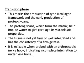 Transition phase
• This marks the production of type II collagen
framework and the early production of
proteoglycans.
• The proteoglycans, which form the matrix, help
imbibe water to give cartilage its viscoelastic
properties.
• The tissue is not yet firm or well integrated and
has the consistency of a firm gelatin.
• It is milkable when probed with an arthroscopic
nerve hook, indicating incomplete integration to
underlying bone.
 